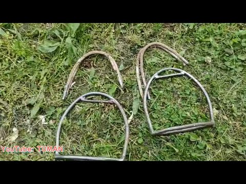 Видео: Безопасность всадника, Безопасные стремена , Лошадь, Жеребец, Лахиб, Туман