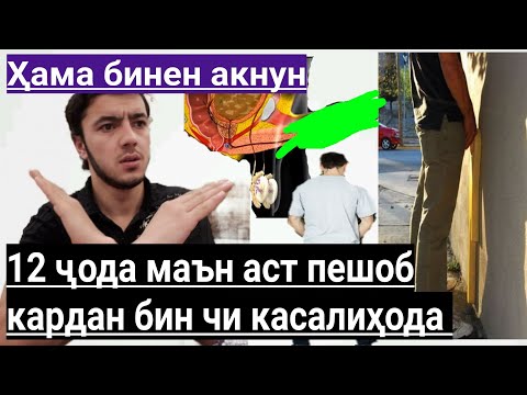 Видео: ДАР 12 ЧО ПЕШОБ КАРДАН МАЬН АСТ БИНЕН БАЧИ  КАСАЛИХАРО МЕАФТЕН ХАМА БИНЕН