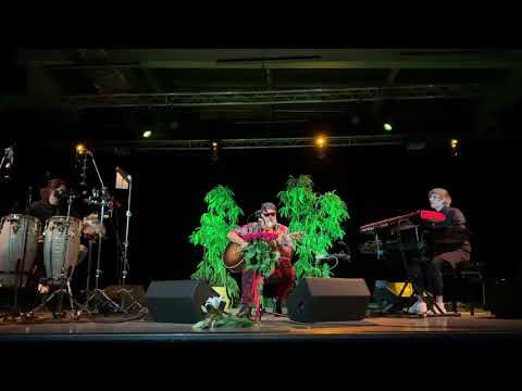 Видео: 03 - Мой Ясный Свет, Борис Гребенщиков. Бровары, 22.10.2020