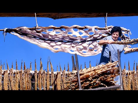 Видео: Морской угорь сушится на открытом воздухе для его естественного сохранения и продажи