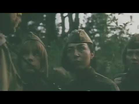 Видео: Мергендер (Қазақфильм 1985)