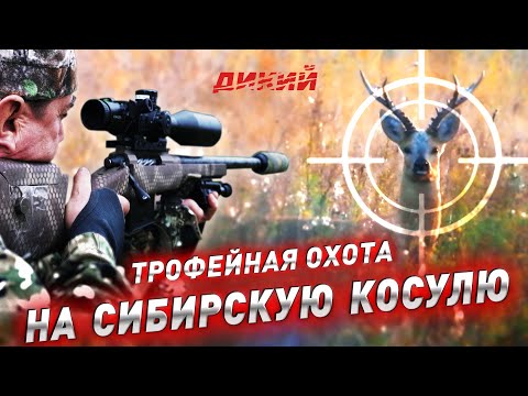 Видео: С Полем! Охота на сибирскую косулю. (Новый фильм!)