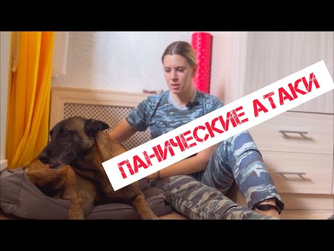 Видео: Собака боится оставаться одна, панические атаки у собак, серпарационная тревога, как встречать