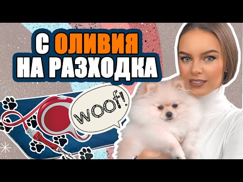 Видео: ВЛОГ: КЪДЕ ДА ОТИДЕМ С КУЧЕТО? | ♡