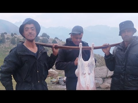 Видео: Манзараҳои Искандаркӯл