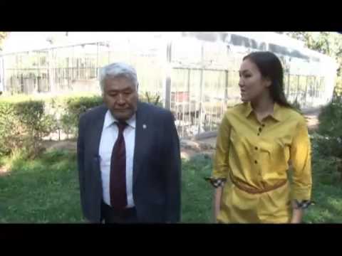 Видео: "Кім боламын" - Агроном мамандығы