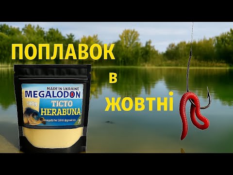 Видео: Залікова риболовля на тісто Херабуна.Червʼяк поза грою .#дозариболовлі #риболовля #поплавок 