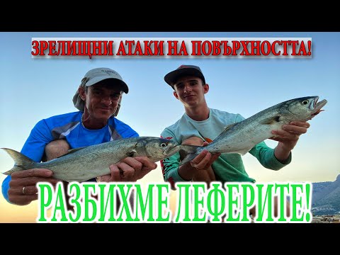 Видео: ЗРЕЛИЩНИ АТАКИ НА ПОВЪРХНОСТТА?! / Техники и съвети при риболов на Лефер.