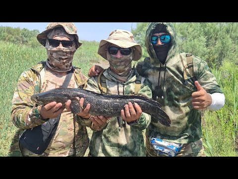Видео: Илонбошни каттасини ушладик