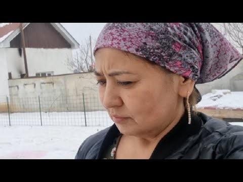 Видео: Vlog. Тауық жатып алған.Тауық тұрғысы келмеді