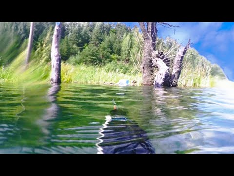 Видео: Как найти водоем для подводной охоты. Показываю где охотиться в Москве.