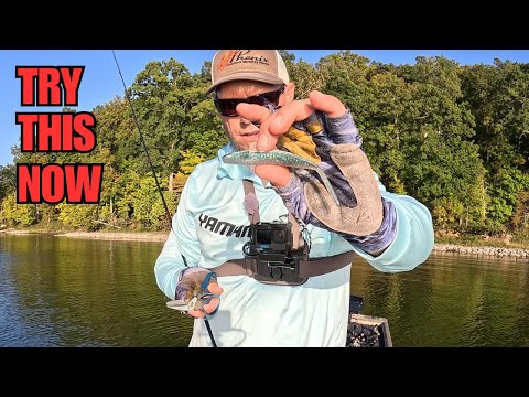 Видео: Смертельная техника Fluke: бас не может игнорировать