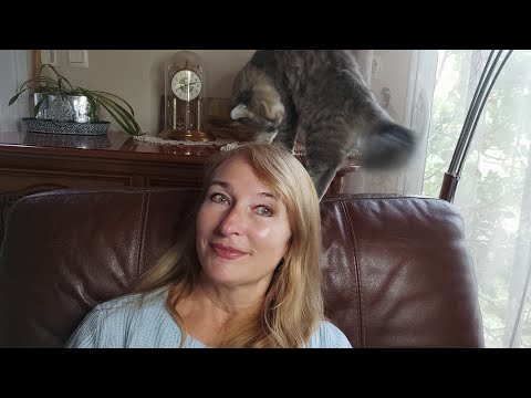 Видео: Макрон, уйди!  Кыш, кыш!