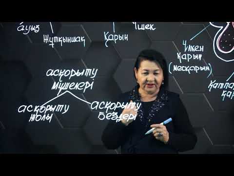 Видео: Жануарлардың асқорыту жүйесі. 8 сынып.