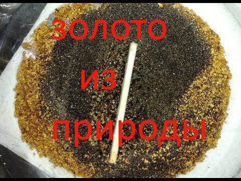 Видео: Золото из Природы.  gold nugget