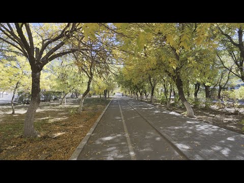 Видео: Осенний бульвар Жезказган