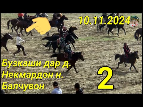 Видео: Бузкаши дар д.Некмардон н. Балчувон кисми 2 10.11.2024