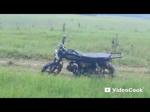 Видео: Проверка ловушек на пчёл, второй маршрут 2025