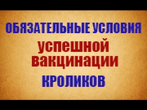 Видео: Схема вакцинация кроликов, обоснованная научно и подтвержденная опытом, надежная защита от гибели