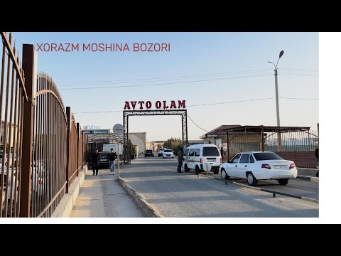 Видео: ХОРАЗМ МОШИНА БОЗОРИ 2025 02.11/ XORAZM MOSHINA BOZORI 2025
