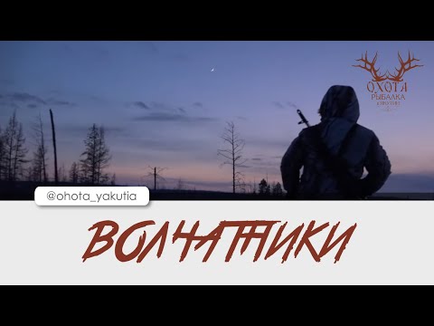 Видео: ВОЛЧАТНИКИ