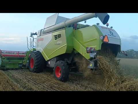 Видео: Уборка 2023 МТС Юбилейное Claas tucano 450 , John Deer 650, 660, 760.