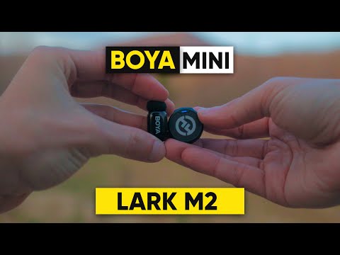 Видео: Boya Mini  обзор беспроводных микрофонов и сравнение с lark m2