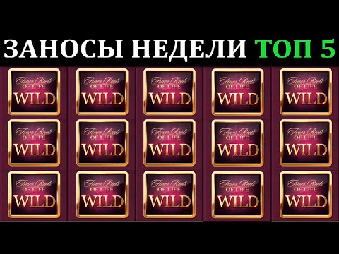 Видео: ЗАНОСЫ НЕДЕЛИ.Мега выигрыш ОТ x1000. ТОП 5 больших заносов. выпуск 77