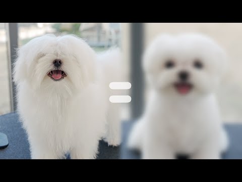 Видео: - сказала мама. кто ты?