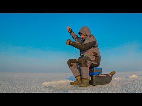 Видео: Только опускаю и сразу удар!!! Ловля окуня на балансир. Первый лёд 2020-2021 на большой воде.