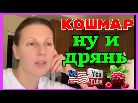 Видео: Big Big Family in the USA /Кошмар /Ну и дрянь /Обзор /Funny 4 /Лиса в Америке /Биг Биг Фэмэли 