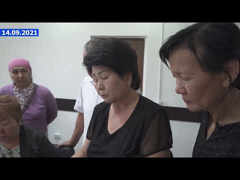 Видео: 6 ноября 2025 г.