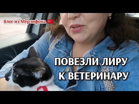 Видео: Повезли Лиру к ветеринару/будни турецкой жены/бегом в магазин/покупки/хлеб,суп/вопрос-ответ