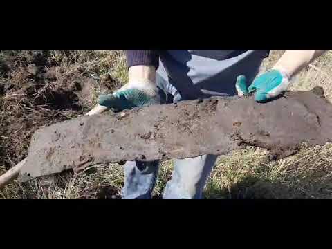 Видео: Трак-трачёк 