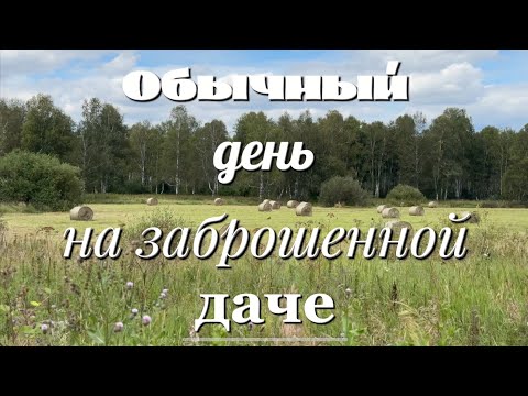 Видео: 7. Теперь на участке НЕТ ТРАВЫ СОВСЕМ