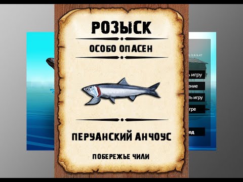 Видео: Мутанты рр3. Перуанский анчоус рр3. Побережье Чили.