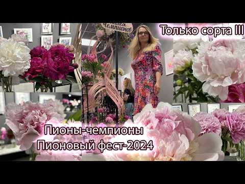 Видео: Пионы-чемпионы выставки Пионовый фест 2024