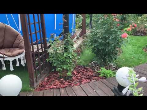 Видео: Новые приобретения и переделки в саду 