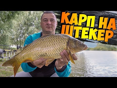 Видео: Ловля карпа на ШТЕКЕР! Тонкости и секреты штекерной ловли!