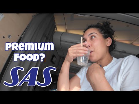 Видео: Перелет премиум-эконом-классом SAS из Брюсселя в Атланту | Стоит ли переходить на более дорогой к...