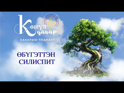 Видео: ӨБҮГЭТТЭН СИЛИСПИТ