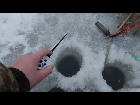 Видео: ПОЗДНЯЯ РЫБАЛКА НА КАРАСЯ #зимняярыбалка #fypシ゚viral #fpyシ #fypp #fyp #bome #fishing #рыбалка #рыба