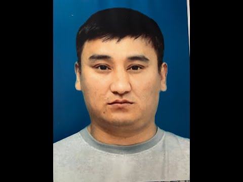 Видео: Созақ ауданы Созақ ауылы Самат Сағындықұлы  ағамызды еске алу ас көкпары 15.11.2023ж Созақ атшабары