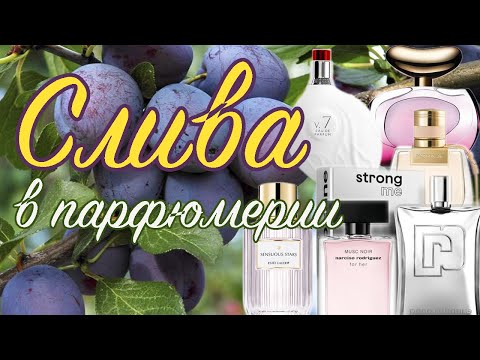 Видео: СЛИВА В ПАРФЮМЕРИ. ЧАСТЬ 2