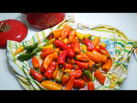 Видео: ПЕРЦЫ СТАНУТ ВКУСНЕЕ И АРОМАТНЕЕ!! Как просто ДОЗАРИТЬ сладкий перец.