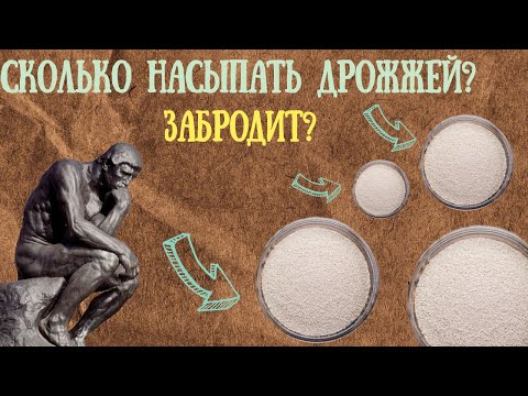 Видео: Засев пивных дрожжей!Сколько нужно?Недозасев!Перезасав!Эксперимент с дрожжами!!Дегустация!