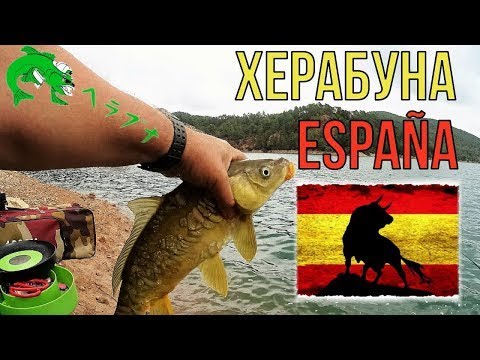 Видео: Херабуна. Тест корейской удочки yong sung sense.