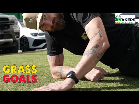 Видео: Преображение газона на моем заднем дворе с помощью Akers of Lawn!