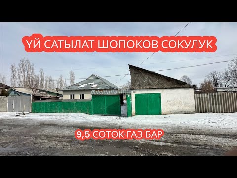 Видео: УЙ САТЫЛАТ ШОПОКОВ СОКУЛУК 2024