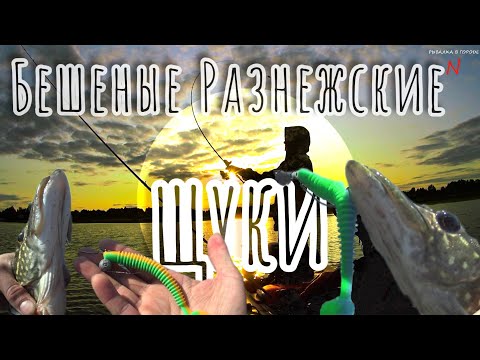 Видео: Рыбалка в Разнежье.Силикон и Вертушки в деле! Разловил приманки.